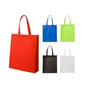 Bolsa Ecologica Non Woven- BE001